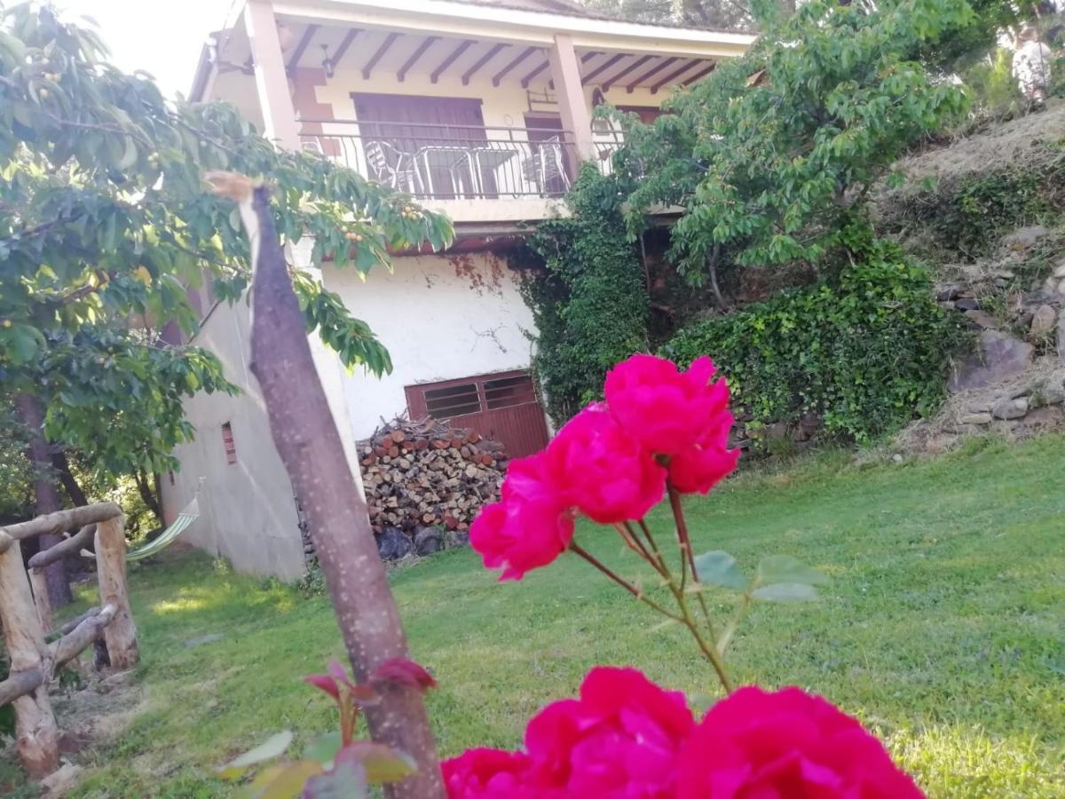 Casa Rural El Arroyo Sotoserrano Exteriör bild